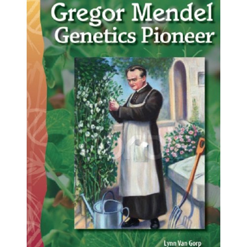 ��ǰ �̹���