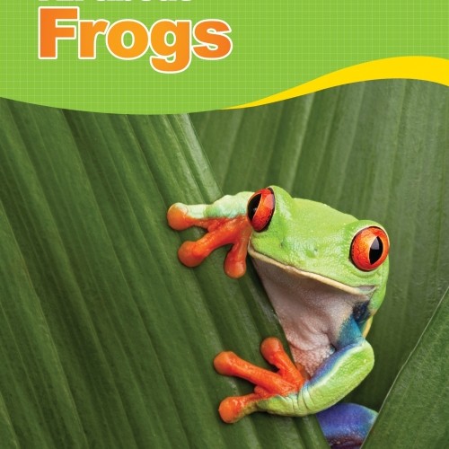 ��ǰ �̹���