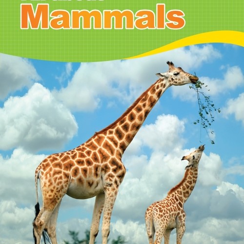 ��ǰ �̹���