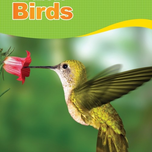 ��ǰ �̹���